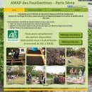 amap-des-feuillantines-75-paris-5eme