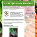 amap-opio-06