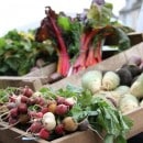 panier-jardin-de-la-vieille-ecole-3