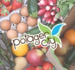 potager-city-aquitaine