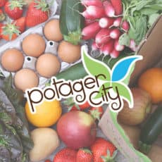 potager-city-aquitaine