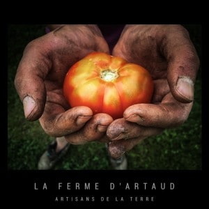 Premiere_tomate