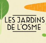 logo_jdl