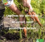 500x500-legumes-carottes-en-champs.jpg