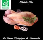 Pintade-bio-800