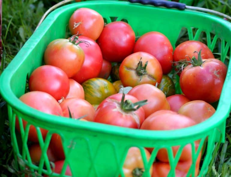 Lesjardinsdecocagne Chalezeule Home Facebook Lesjardinsdecocagne Chalezeule Home Facebook